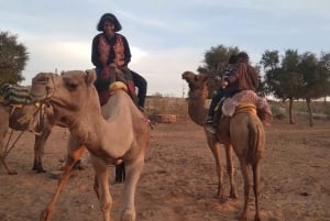 Jodhpur: Jeepsafari, kamelridning, buffémiddag och folkdans