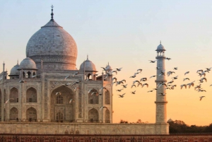 Z Bombaju: Prywatna wycieczka z przewodnikiem do Taj Mahal z noclegiem