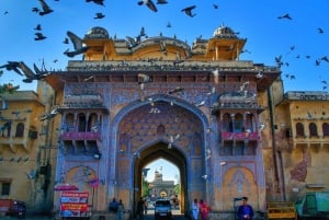 From Delhi: Private Jaipur Day Trip with Driver & Guide