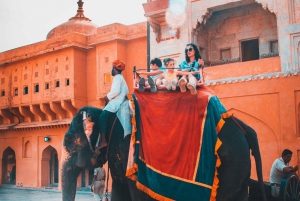 From Delhi: Private Jaipur Day Trip with Driver & Guide