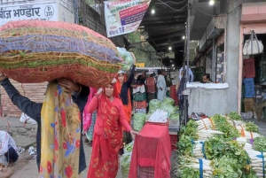 Jaipur: Dagsutflykt med bil och guide