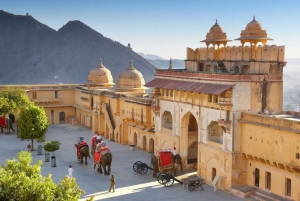 Fra New Delhi: Jaipur Privat byrundtur i bil