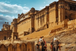 From New Delhi: Jaipur Private Day Trip with Guide