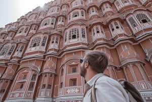 From New Delhi: Jaipur Private Day Trip with Guide