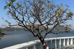 Ab Udaipur: Authentische Dorf-Safari-Erfahrung