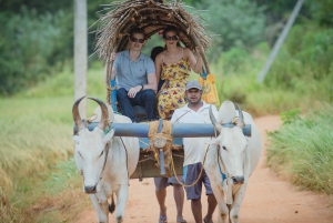 Ab Udaipur: Authentische Dorf-Safari-Erfahrung
