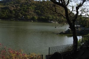 Udaipurista: Mount Abu -päiväretki