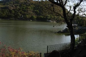 Udaipurista: Mount Abu -päiväretki