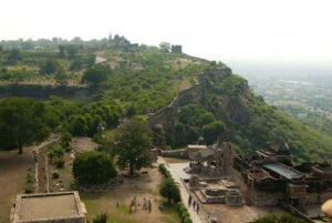 Fra Udaipur: Privat dagstur til Chittorgarh Fort