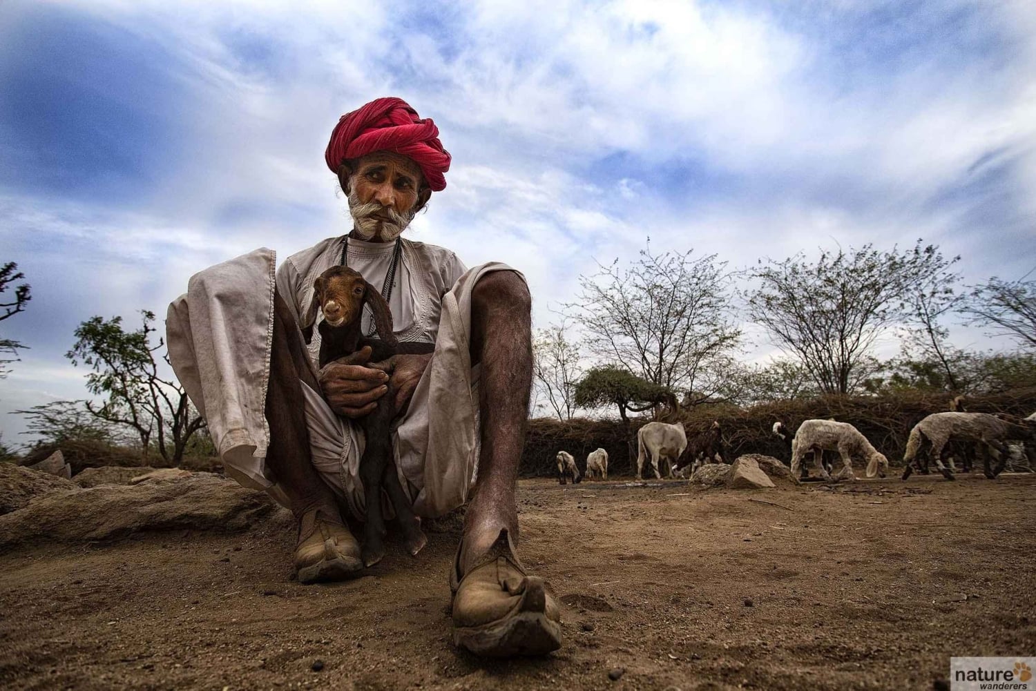 Heldagssafari i Bishnoi-landsbyen