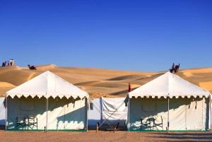 Tour della città di Jaisalmer: forte, haveli e fascino del deserto