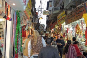New Delhi: Full-Day Old and New Private Tour with Tickets