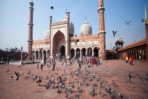 New Delhi: Full-Day Old & New Delhi Guided Tour