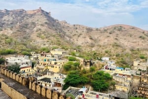Jaipur: Privé stadsrondleiding met gids voor een hele dag