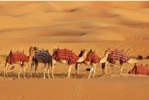 Heldagstur til Pushkar fra Jaipur med guide + kameel/jeep-safari