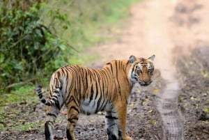 Delhi Agra Jaipur Golden Triangle Tour with Varanasi Sarnath