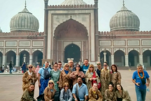 Golden Triangle & Safari: Delhi, Agra, Jaipur og Safari 4D3N