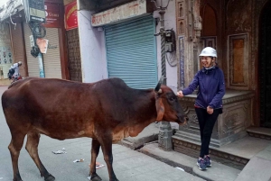 Jaipur: Ochtendfietstour met gids en culinaire tour