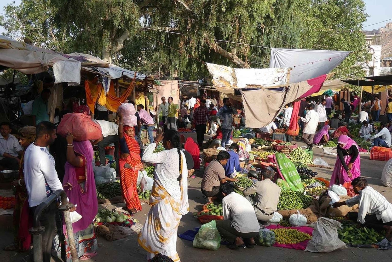 Promenade matinale guidée en E-Rickshaw avec dégustation de mets