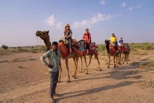 Halvdags kamelsafari med solnedgang og middag med Wanderlust