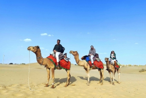Half Day Desert Safari with Camel ride & dinner