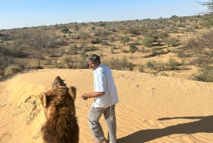 Halfdaagse woestijn wandeltour in Jodhpur Rajasthan met Sumer