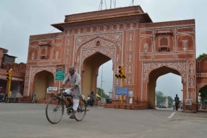 Highlight-tur i Jaipur med privat guide