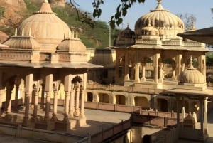Höjdpunktstur i Jaipur med privat guide