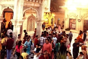 India Golden Triangle Tour med tigersafari 7 dager