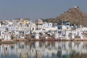 India Golden Triangle Tour med tigersafari 7 dager