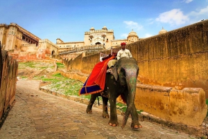 Jaipur: 2-Day City Sightseeing Tour with Cab & Guide