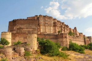 Jaipur: Full Day Jaipur City Tour by Private Car & Guide