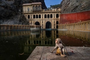 Jaipur : Visite de 2 jours avec les sites incontournables et les vues sur le coucher de soleil