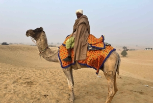 Yaipur: 2 días de safari de tigres en Ranthambore y tour por Yaipur