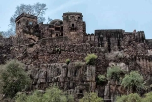 Yaipur: 2 días de safari de tigres en Ranthambore y tour por Yaipur