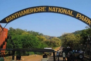 Yaipur: 2 días de safari de tigres en Ranthambore y tour por Yaipur