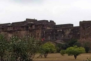 Yaipur: 2 días de safari de tigres en Ranthambore y tour por Yaipur