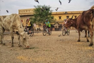 Jaipur: 3-Hour Morning Bike Tour of Jaipur Old City