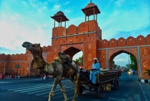 Jaipur: 3-Hour Morning Bike Tour of Jaipur Old City