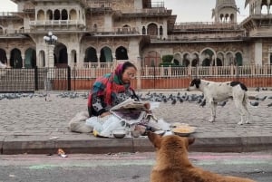 Jaipur: 3-Hour Morning Bike Tour of Jaipur Old City