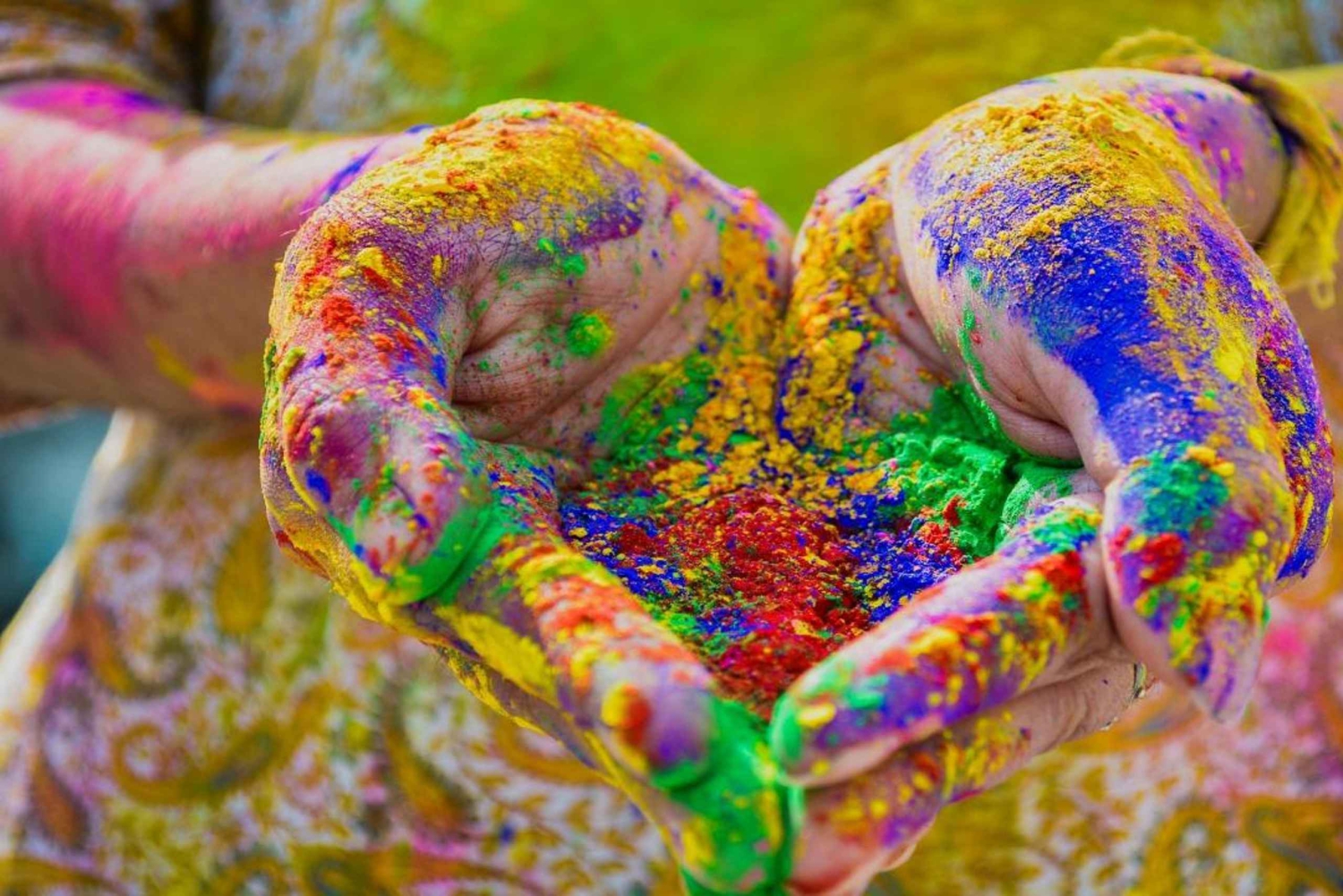 ジャイプール:3泊のホーリー祭りツアー（宿泊付き）