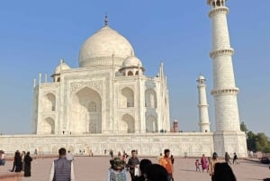 Jaipur: Agra Day Trip with Taj Mahal and Agra Fort