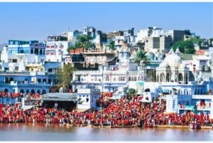 Jaipur: Ajmer & Pushkar Day Trip with Lunch and Camel Ride