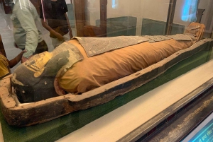 Jaipur: visita guiada a pé ao Albert Hall Museum