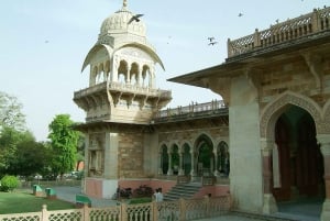 Jaipur: Albert Hall Museum Guided Walking Tour