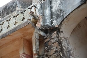 Jaipur: Tour di un giorno del Forte di Amber, del Palazzo della Città e dell'Hawa Mahal