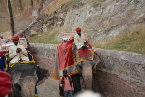 Jaipur: Tour di un giorno del Forte di Amber, del Palazzo della Città e dell'Hawa Mahal