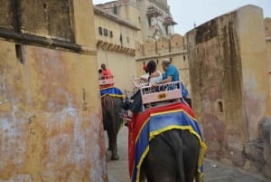 Jaipur: Tour di un giorno del Forte di Amber, del Palazzo della Città e dell'Hawa Mahal