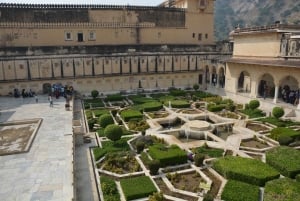 Jaipur: Tour di un giorno del Forte di Amber, del Palazzo della Città e dell'Hawa Mahal