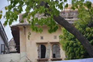 Jaipur: Tour di un giorno del Forte di Amber, del Palazzo della Città e dell'Hawa Mahal